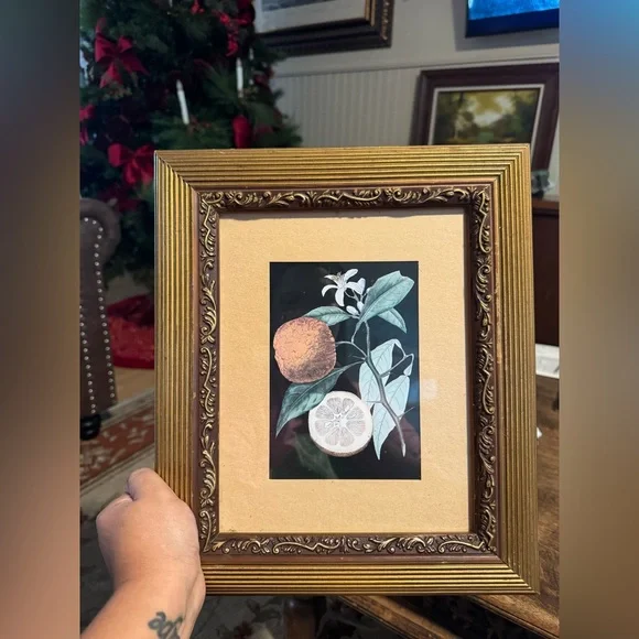 Gold Framed Botanical Art Prints - Picture 2 of 4